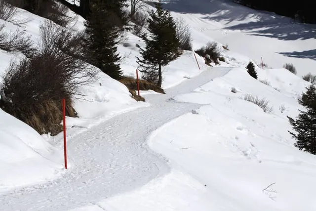 Serfaus-Fiss-Ladis: Serfaus, zdjęcie 79