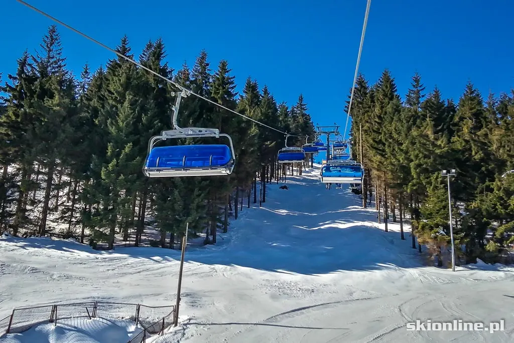 Freeski w Zieleńcu, zdjęcie 14