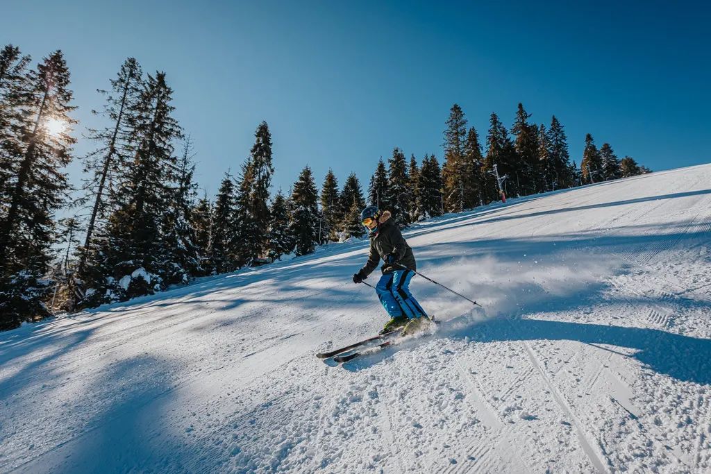 Brezovica