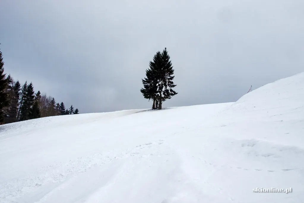 Zieleniec Ski Arena: Winterpol, zima w pełni, zdjęcie 26