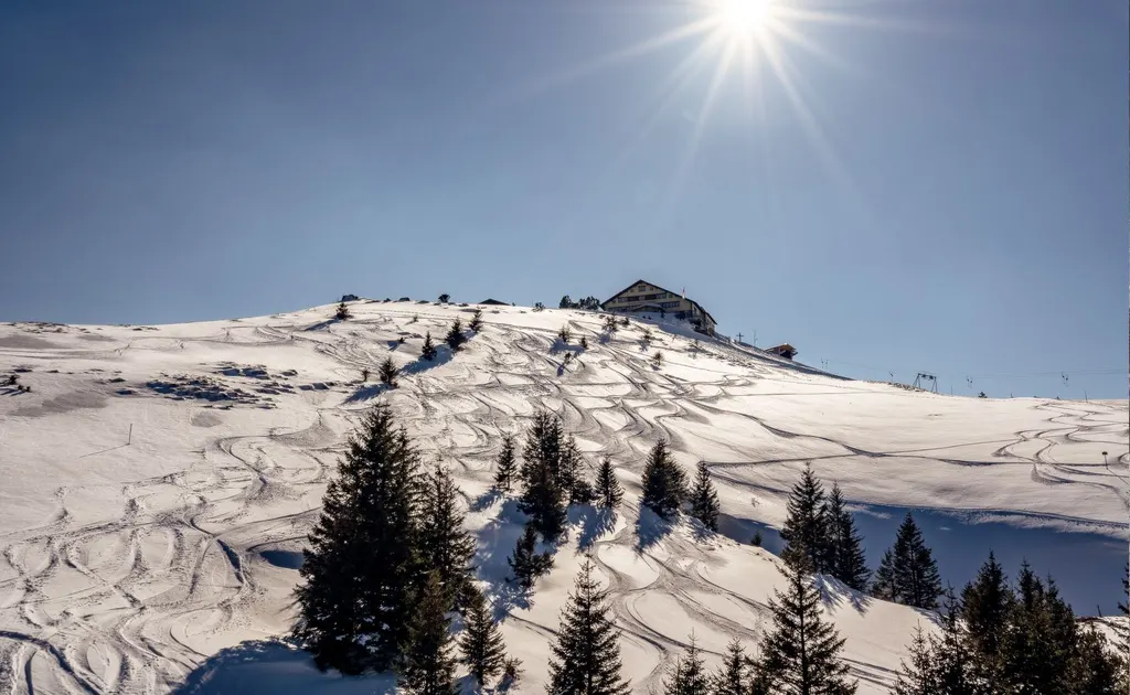Ośnieżony stok Ebenalp ze śladami nart wśród świerków, na grzbiecie górski zajazd i wyciąg