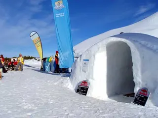Ahorn: Zillertal, Tyrol Austria, zdjęcie 18