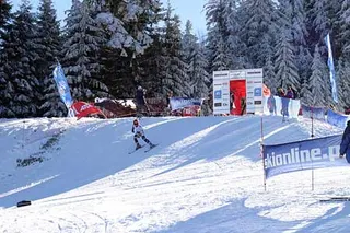 Zdjęcie 10 z galerii I MP PZN carving cz.II