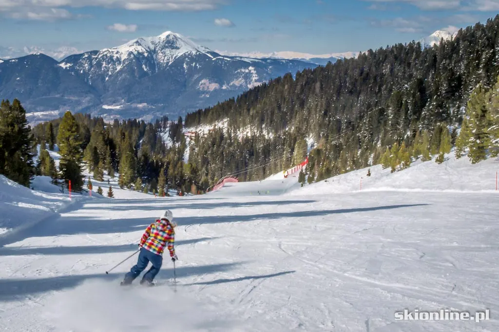 Val di Fiemme, Alpe Cermis: Trentino marzec 2016, zdjęcie 34