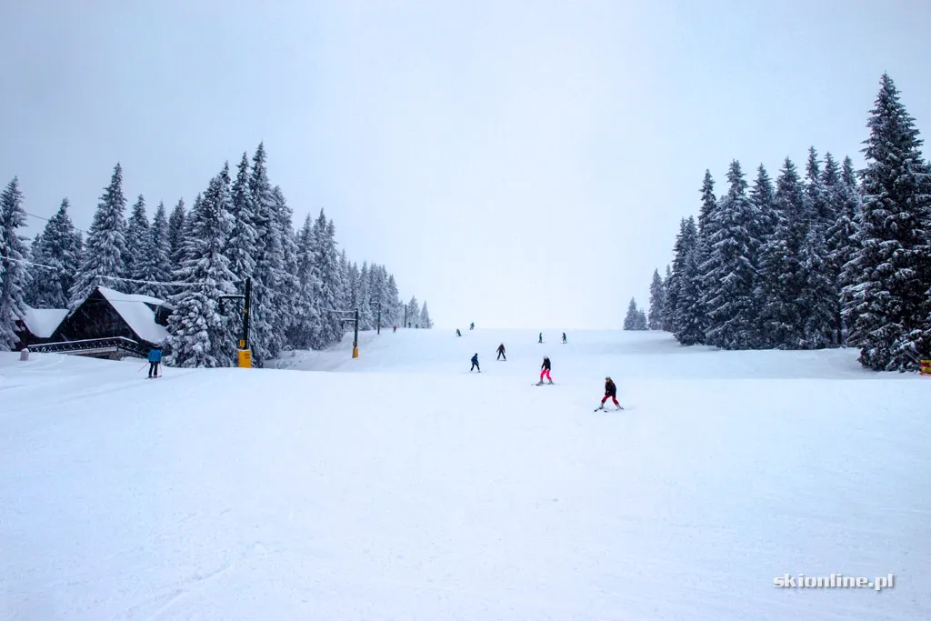 Winter Park Martinky, zdjęcie 15