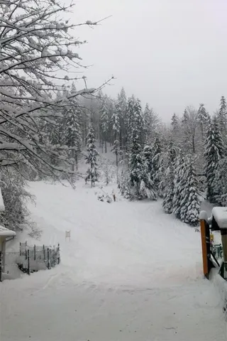 Szczyrk: SON 10.01.2012, zdjęcie 10