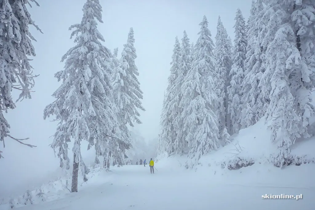 Szczyrk Mountain Resort. Sezon 18/19 otwarty, zdjęcie 17