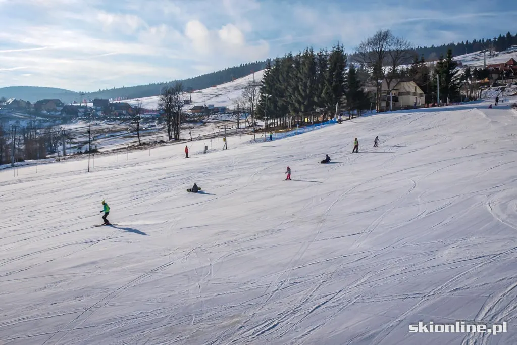 Ski Arena Zieleniec: Mieszko koniec stycznia 2016, zdjęcie 9