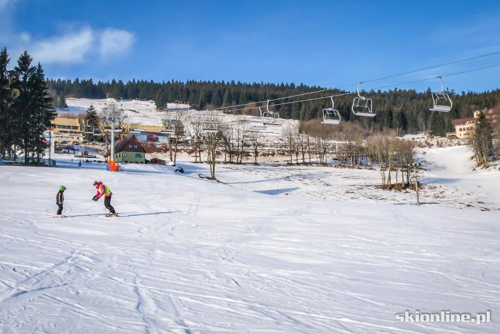 Ski Arena Zieleniec: Mieszko koniec stycznia 2016, zdjęcie 20