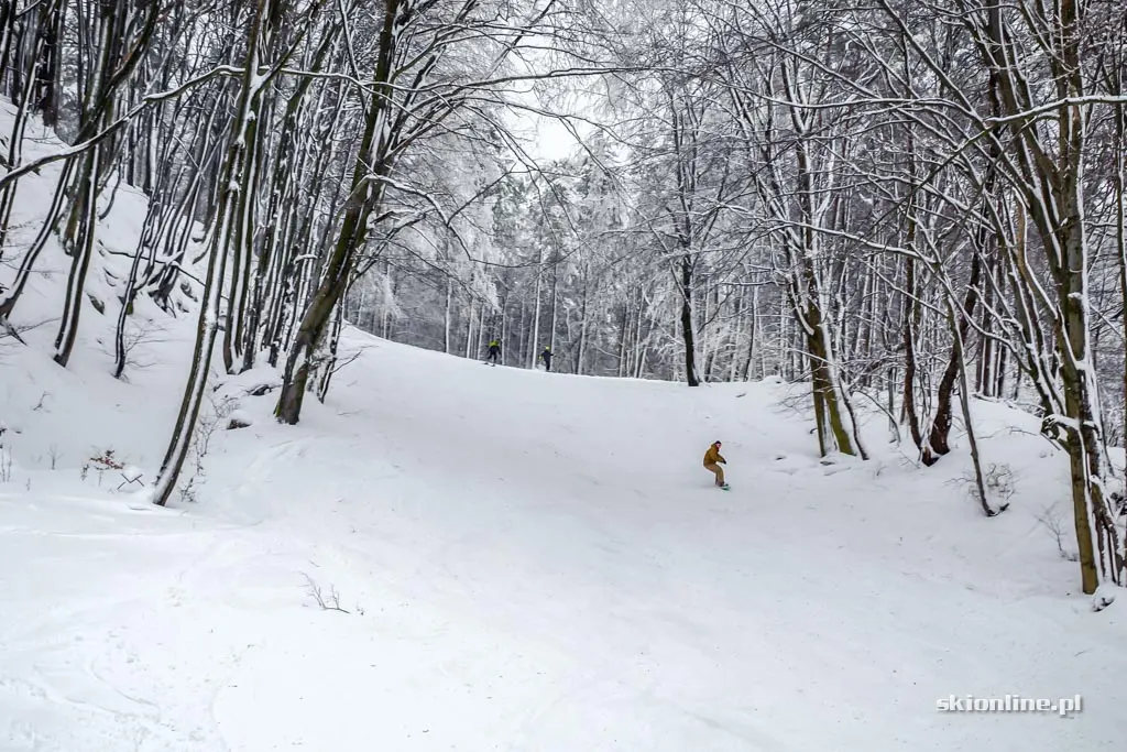 Kiczera-Ski: warunki narciarskie, 12.2016, zdjęcie 18