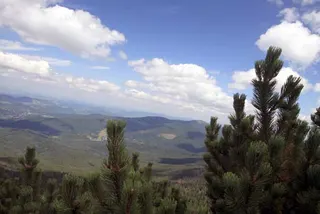 Czerwonym na Babią Górę 1725 m, zdjęcie 57