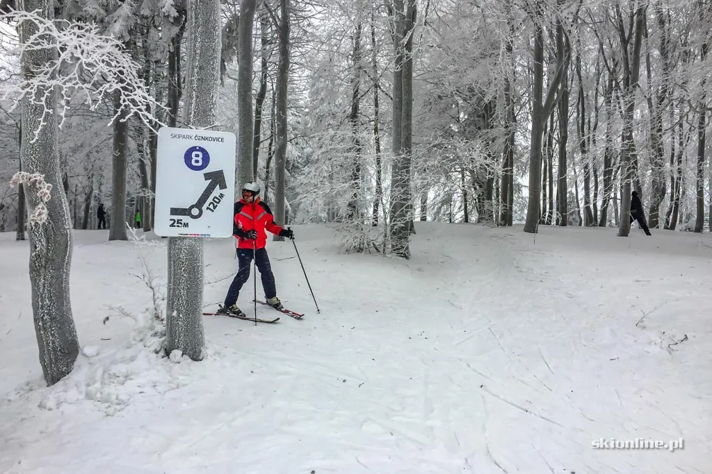 Ośrodek Bukova hora w Czechach, luty 2017, zdjęcie 6