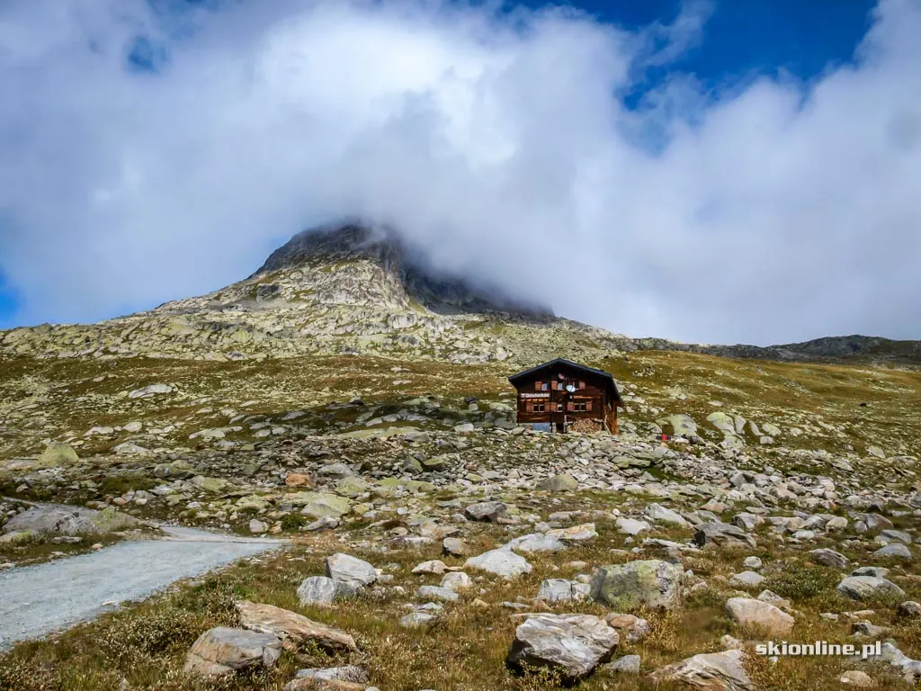 Lodowiec Aletsch w Szwajcarii, zdjęcie 7