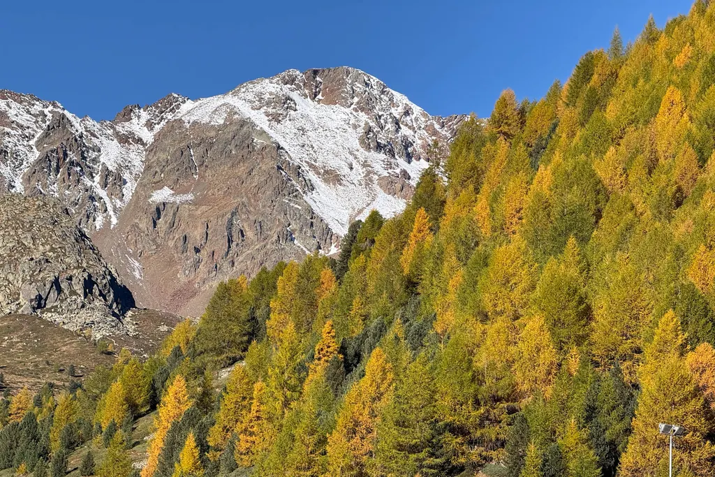 Maso Corto / Alpin Arena Senales, zdjęcie 4
