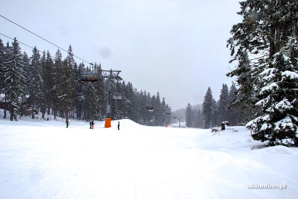 Winter Park Martinky, zdjęcie 35