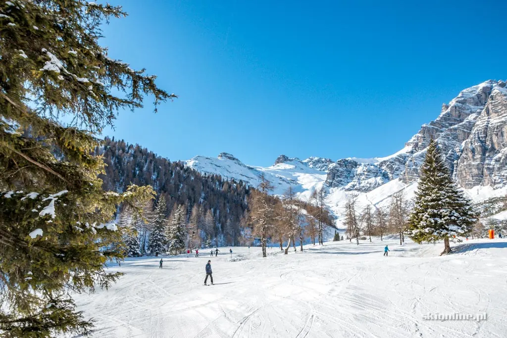 Ośrodek Schlick 2000 w dolinie Stubai, zdjęcie 55