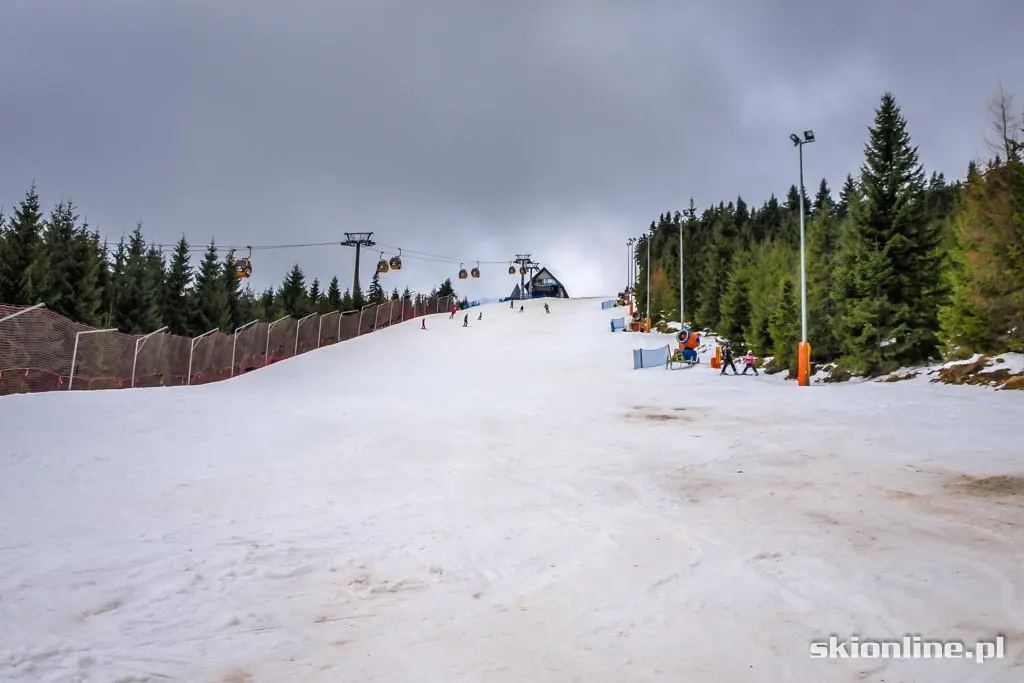 Świeradów Zdrój Ski&Sun. Styczeń 2016, zdjęcie 13