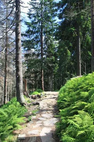 Czerwonym na Babią Górę 1725 m, zdjęcie 68