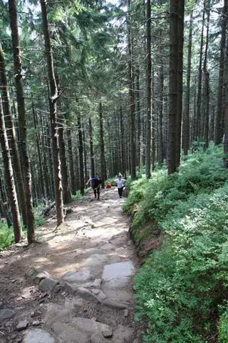 Czerwonym na Babią Górę 1725 m, zdjęcie 5