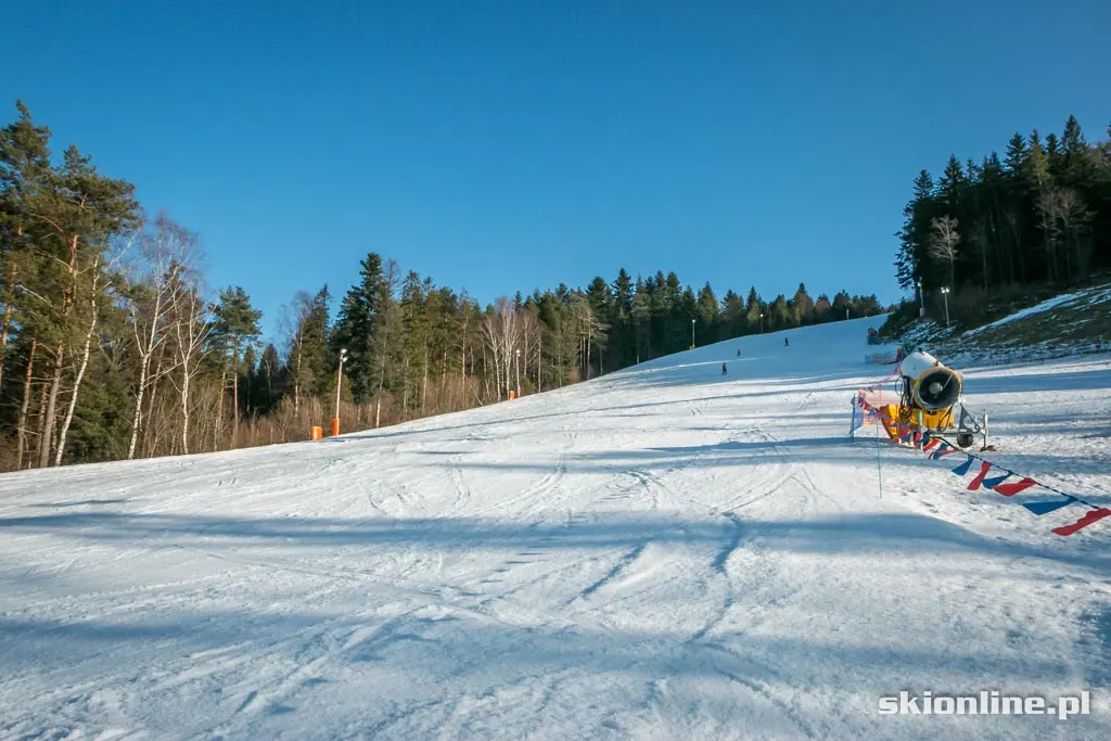 Kasina Wielka SN Śnieżnica 2015-01-16, zdjęcie 14