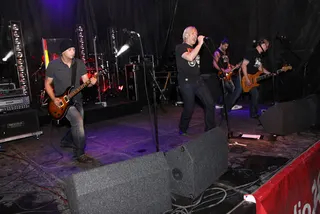 Polskie Dni 2009: koncert IRA, zdjęcie 4