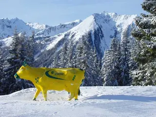 Schladming: Planai, zdjęcie 26