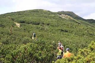 Czerwonym na Babią Górę 1725 m, zdjęcie 21