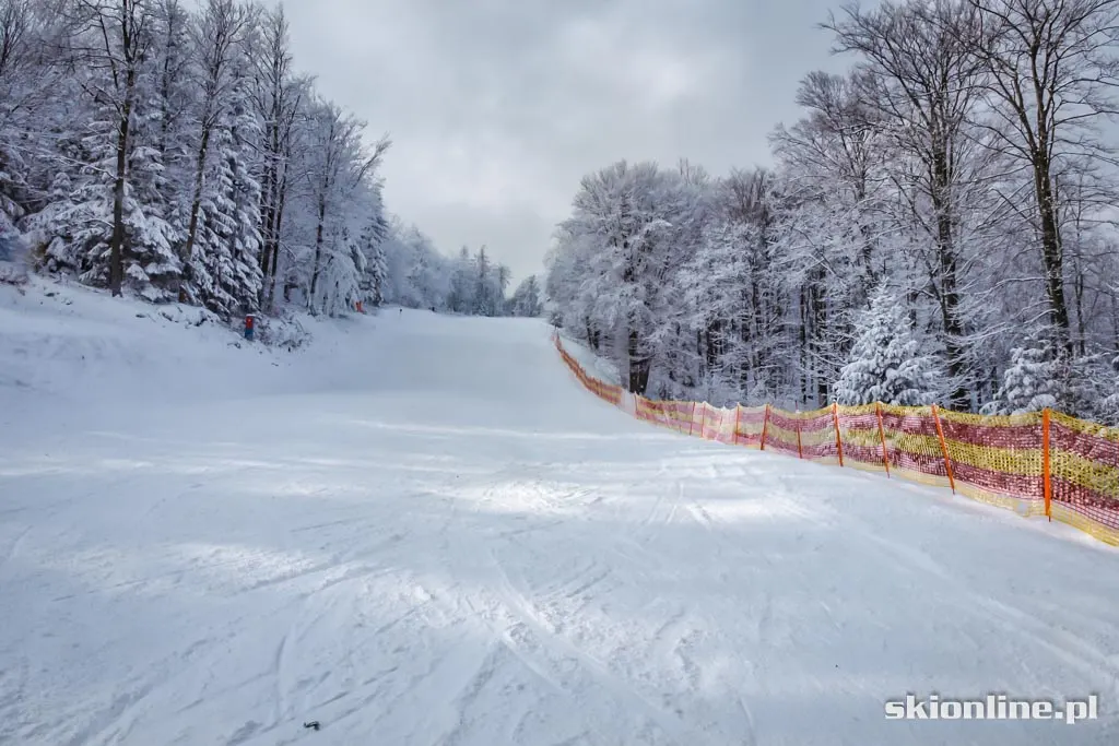 Magura Ski Park. Styczeń 2016, zdjęcie 12