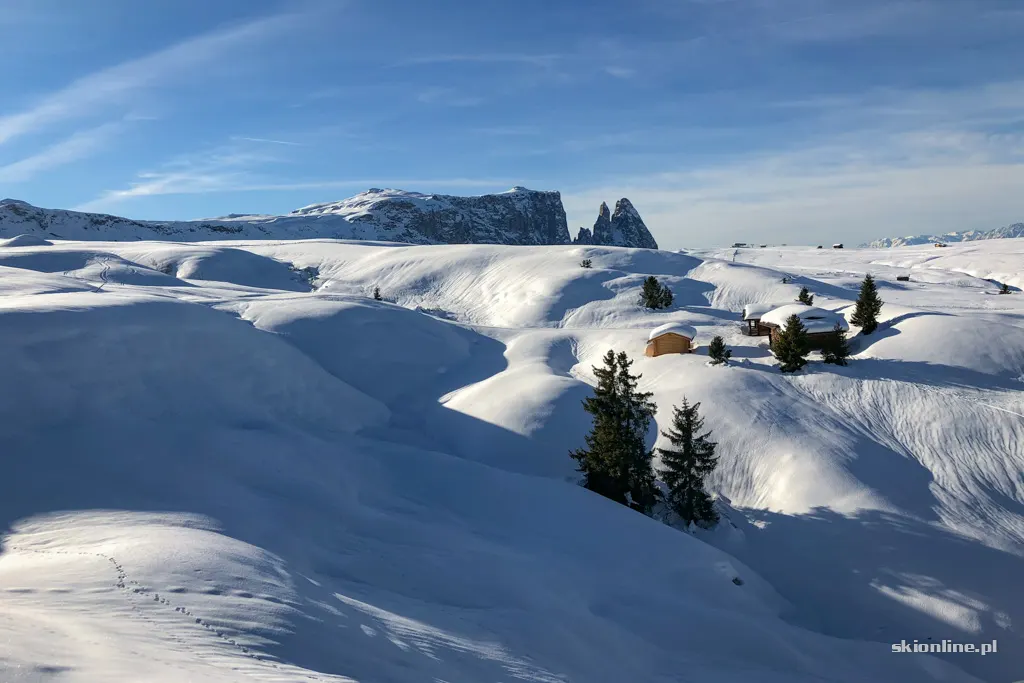 Seiser Alm / Alpe di Siusi, zdjęcie 24