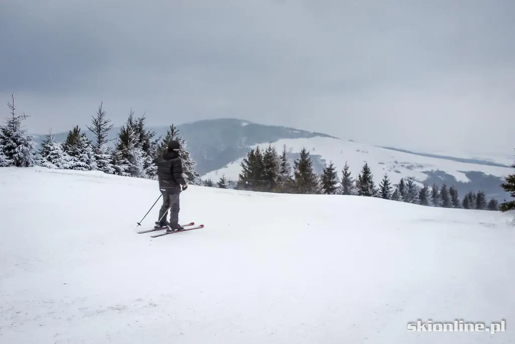Karlików: styczeń 2016, zdjęcie 19