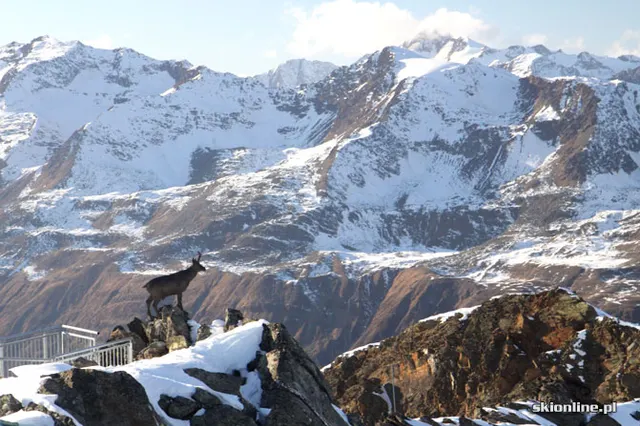 Obergurgl: Hochgurgl grudzień 20, zdjęcie 13