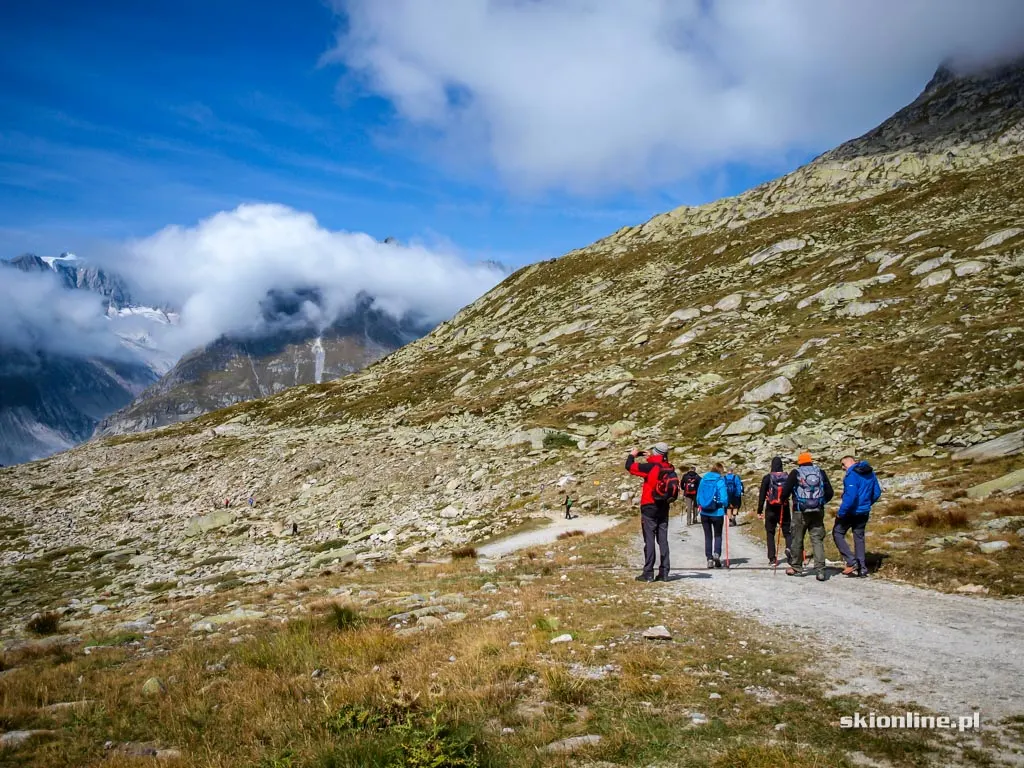 Lodowiec Aletsch w Szwajcarii, zdjęcie 8