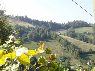 ON Brenna Węgierski, zdjęcie 30