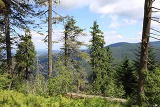 Czerwonym na Babią Górę 1725 m, zdjęcie 6