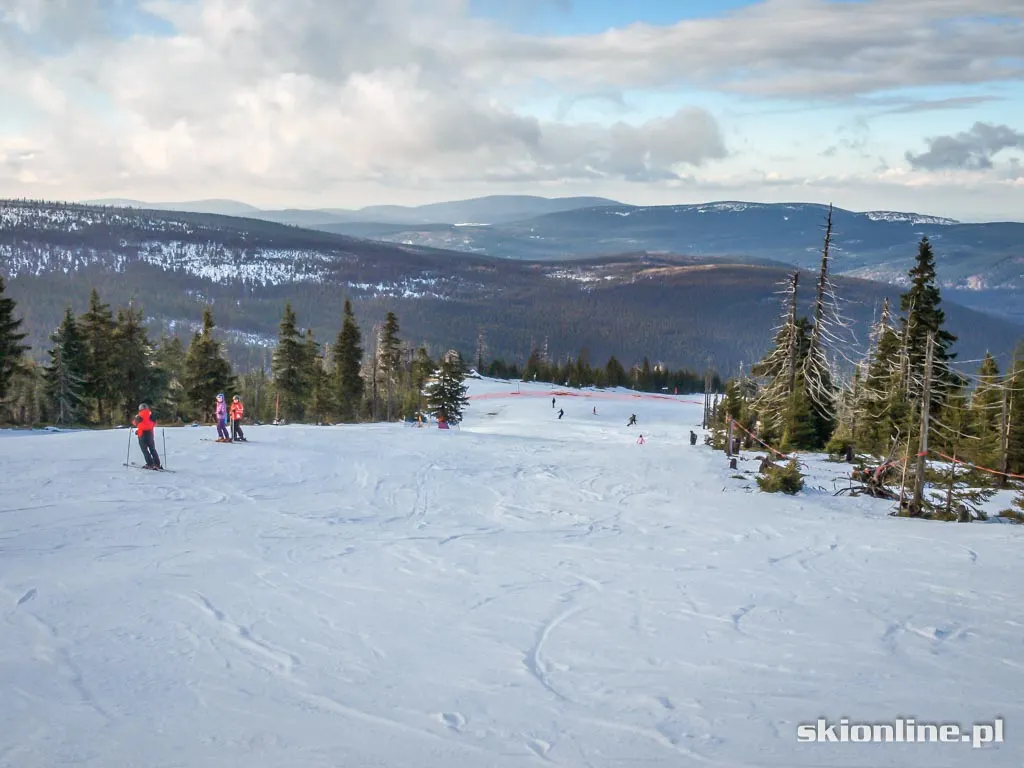 Ski Arena Szrenica. Koniec stycznia 2016, zdjęcie 5
