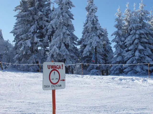 Zima w Beskidach: Szyndzielnia, zdjęcie 13