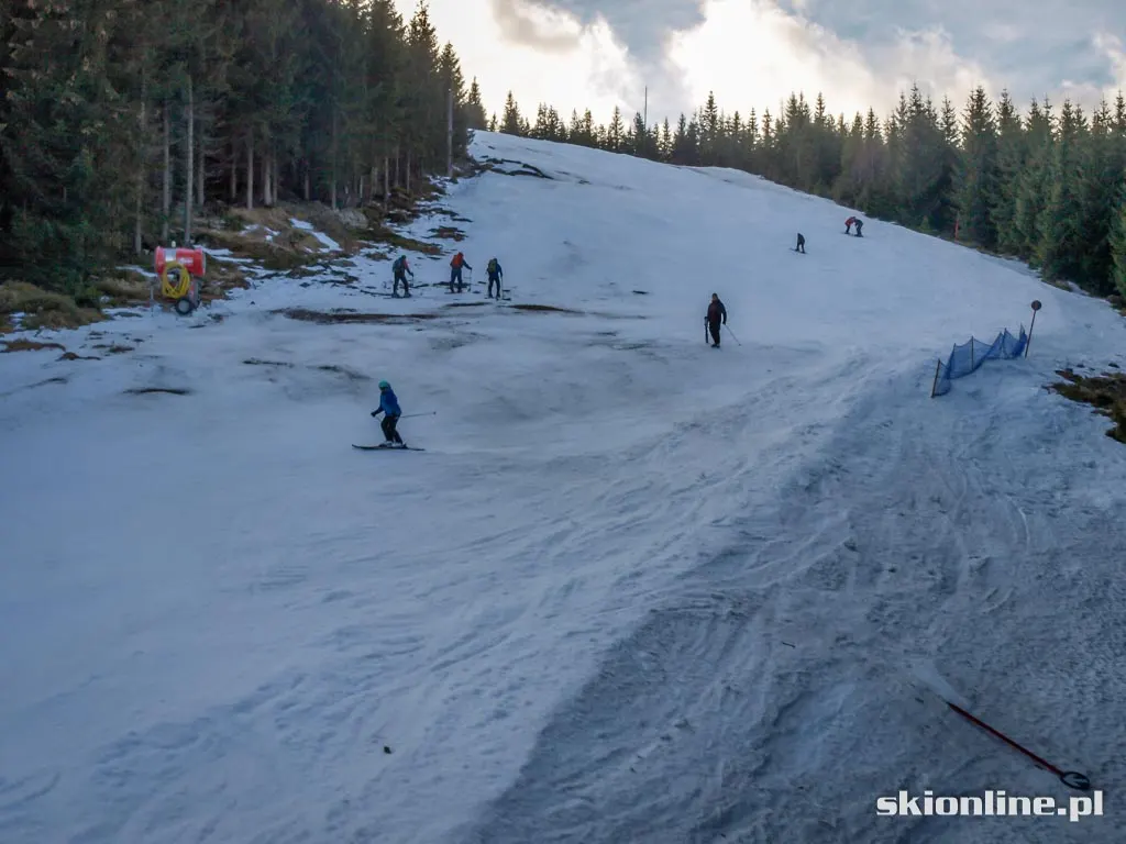 Ski Arena Szrenica. Koniec stycznia 2016, zdjęcie 3