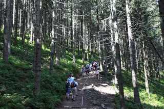 Czerwonym na Babią Górę 1725 m, zdjęcie 4