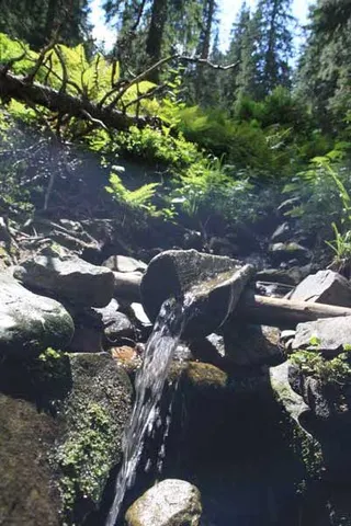 Czerwonym na Babią Górę 1725 m, zdjęcie 75
