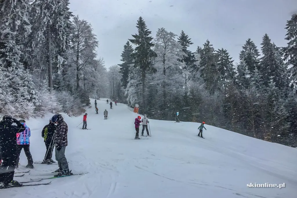 Ośrodek Bukova hora w Czechach, luty 2017, zdjęcie 19