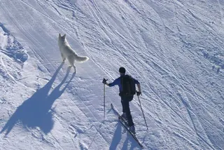 Zillertal Arena, Tyrol: Austria, zdjęcie 5