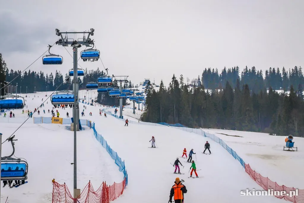 Białka Tatrzańska: Pasieka Express, zdjęcie 3