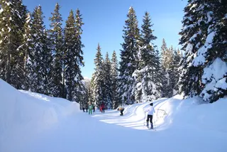 Madonna di Campiglio: Passo Groste, zdjęcie 82