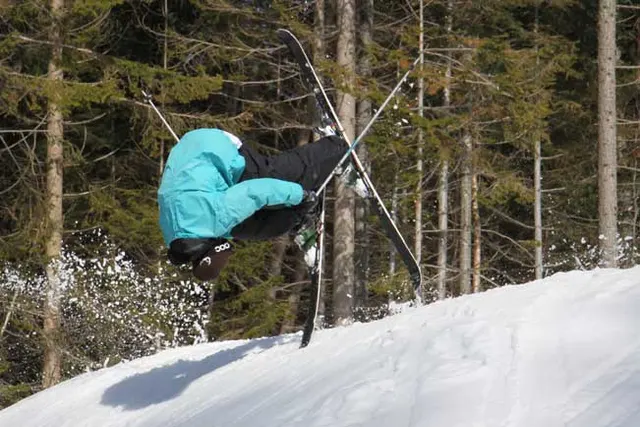 WorldSkiTest 2009 Twin Tip, zdjęcie 4