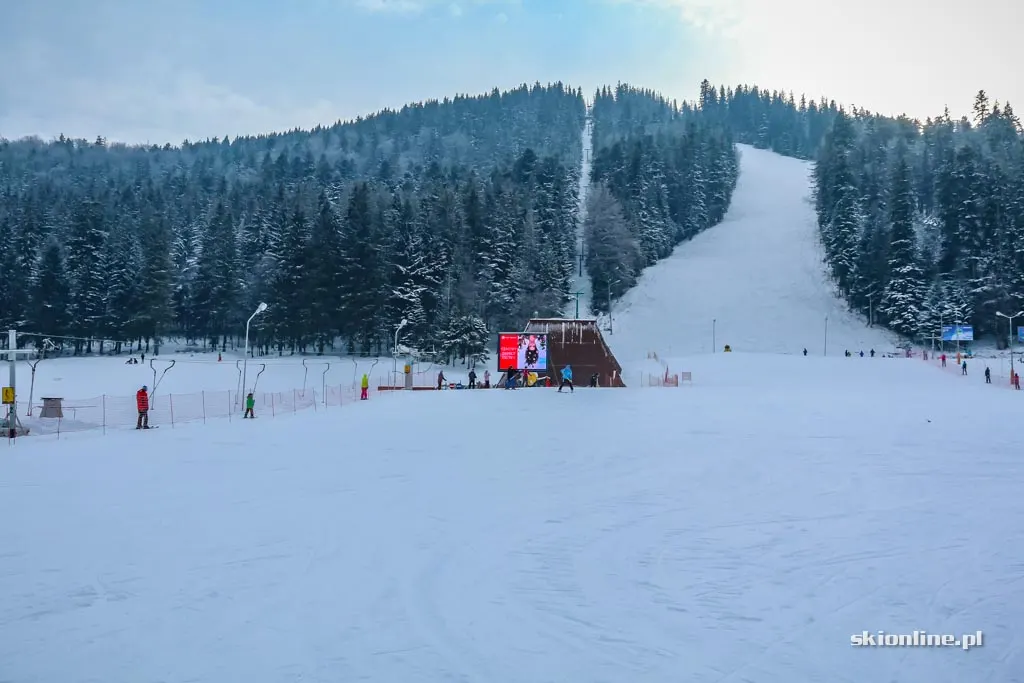 Zakopane Nosal: styczeń 2017, zdjęcie 3