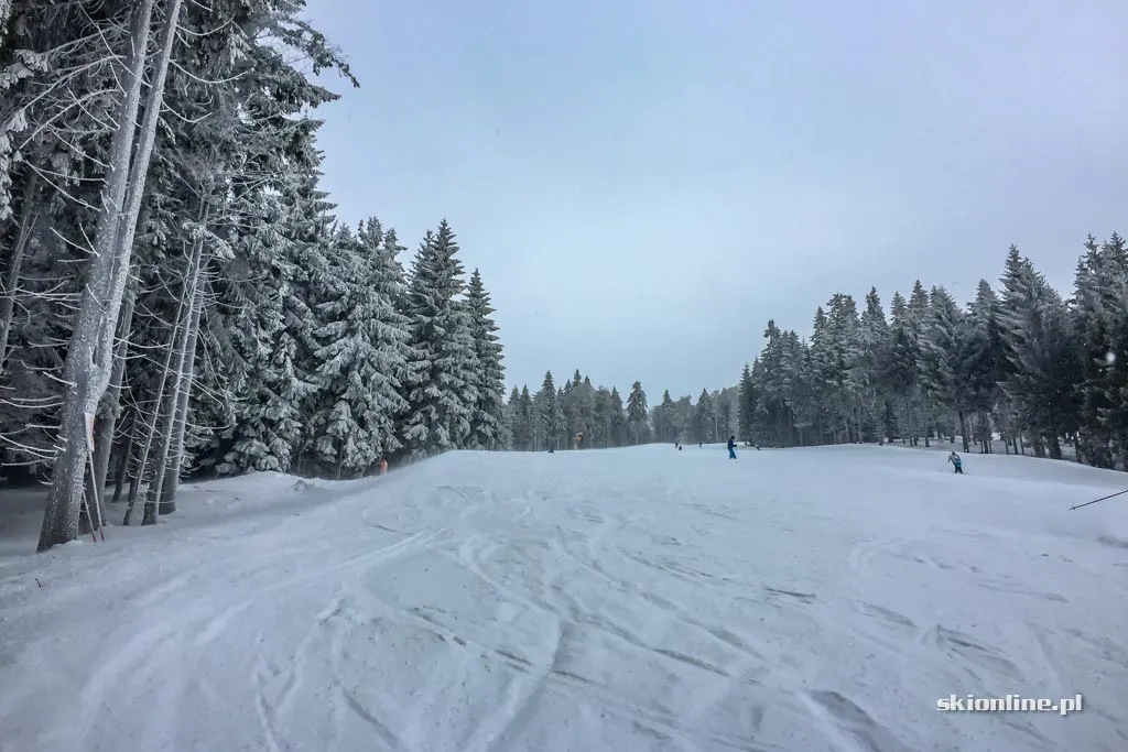 Ośrodek Bukova hora w Czechach, luty 2017, zdjęcie 30