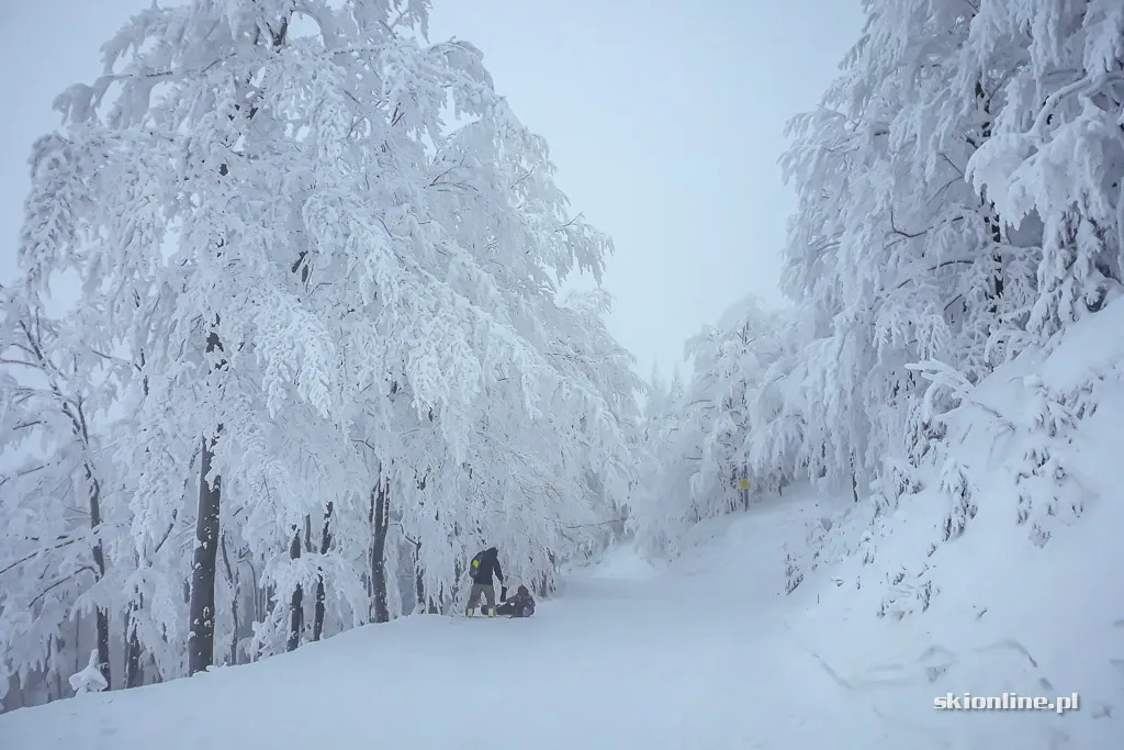 Szczyrk Mountain Resort. Sezon 18/19 otwarty, zdjęcie 18