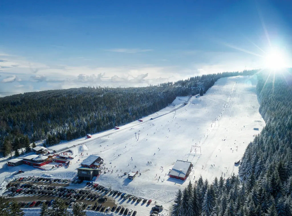 Mehliskopf