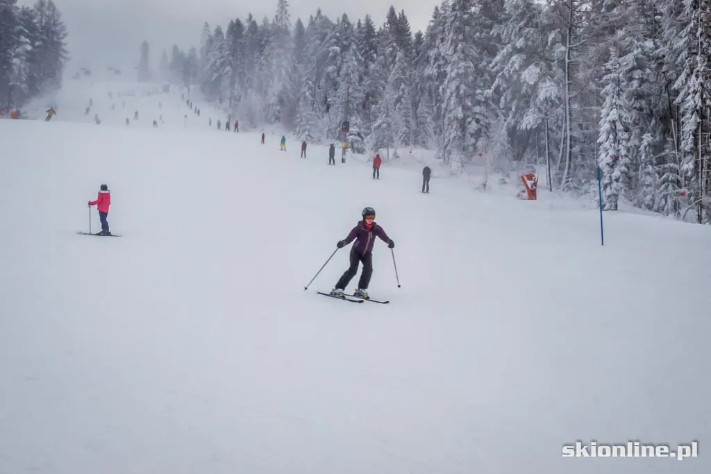 Dwie Doliny warunki narciarskie 2.01.2015, zdjęcie 14