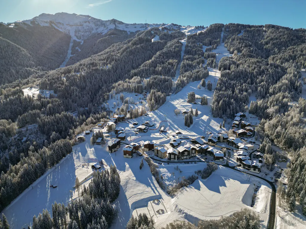 Morillon